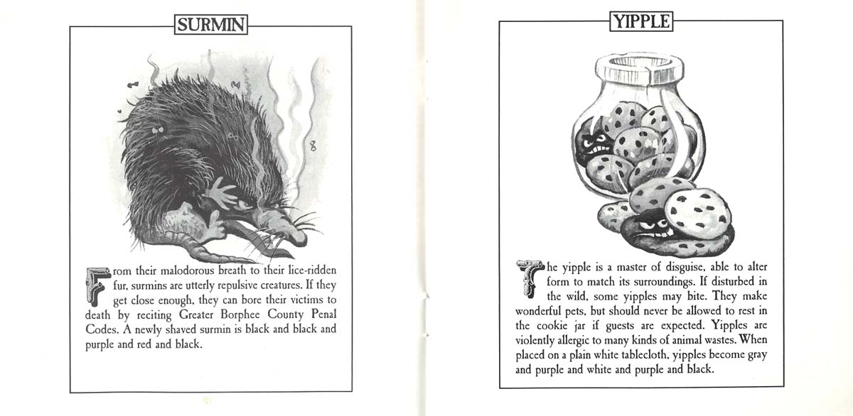 A page from the booklet-style copy protection (rather than the infotater) provided with Sorcerer, explaining the Surmin and the Yipple with their codes.